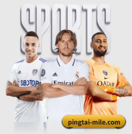 pingtai-mile.com APP